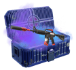 Fortune Case