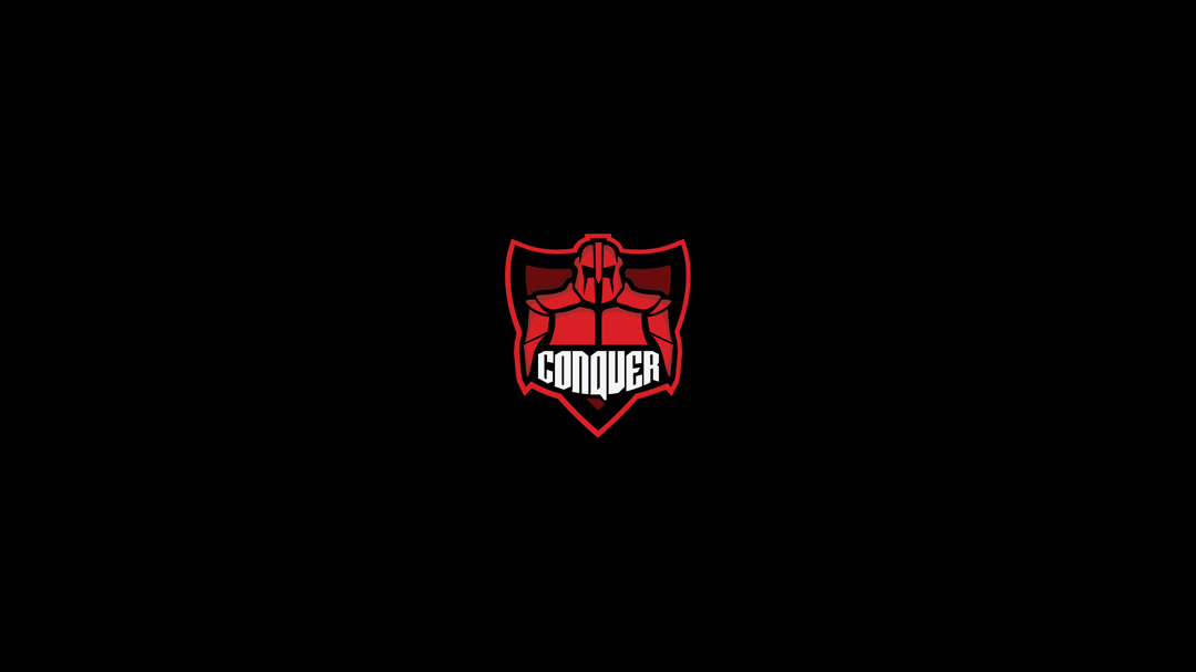 Conquer Gaming 1