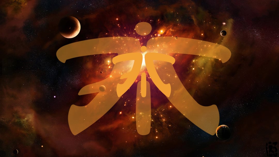 fnatic wallpaper By Ronofar