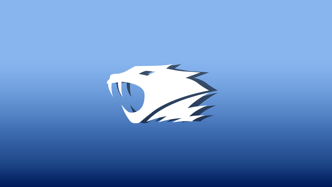IBP reflection