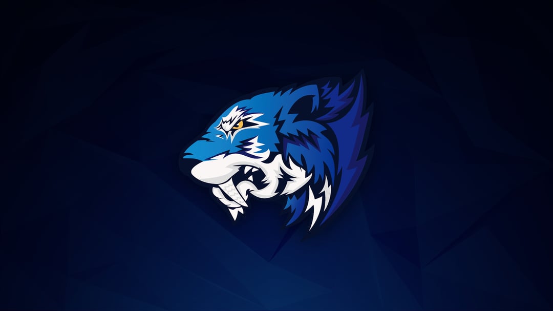 Flash Gaming 2