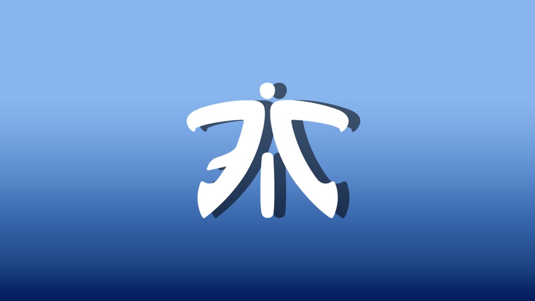 fnatic reflection