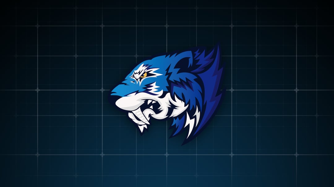 Flash Gaming 1