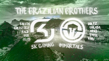 The Brazilian Brothers