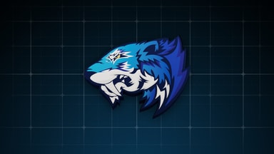 Flash Gaming 3D 1