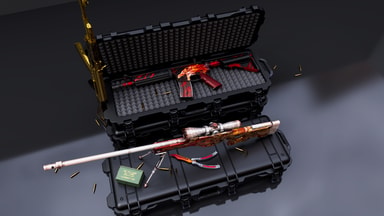 Cases, Awp Desert Hydra, M4a4 Howl, AK47 Gold Arab