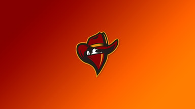 CSGO lite Renegades