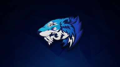 Flash Gaming 3D 2