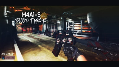 M4A1-S Blood Tiger with Kato 14