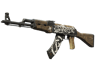 AK-47 | Wasteland Rebel