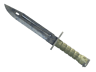 ★ Bayonet | Stained