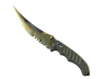 ★ Flip Knife | Case Hardened
