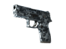 P250 | Steel Disruption