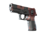 P250 | Constructivist