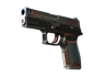 P250 | Cyber Shell