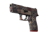 P250 | Facility Draft