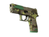 P250 | Boreal Forest