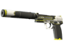 USP-S | Torque