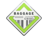 Baggage Pin