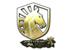 Team Liquid (Gold) | Antwerp 2022