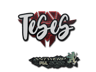 TeSeS | Antwerp 2022
