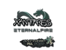 XANTARES | Antwerp 2022