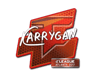karrigan | Atlanta 2017