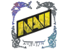 Natus Vincere (Holo) | Austin 2025