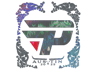 paiN Gaming (Holo) | Austin 2025