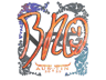 br0 (Holo) | Austin 2025
