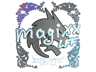magixx (Holo) | Austin 2025