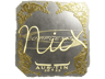 nicx (Gold) | Austin 2025