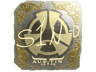 s1n (Gold) | Austin 2025