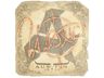 woxic | Austin 2025