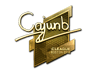 cajunb (Gold) | Boston 2018