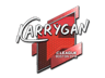 karrigan | Boston 2018