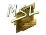 MSL (Gold) | Boston 2018