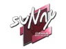 suNny | Boston 2018