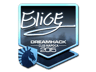 EliGE (Foil) | Cluj-Napoca 2015