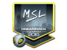 MSL (Foil) | Cluj-Napoca 2015