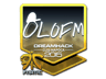 olofmeister (Foil) | Cluj-Napoca 2015