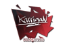 karrigan | Cologne 2016