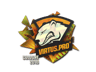 Virtus.Pro (Holo) | Cologne 2016
