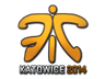 Fnatic (Holo) | Katowice 2014