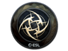 Ninjas in Pyjamas (Foil) | Katowice 2019