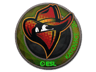 Renegades (Holo) | Katowice 2019