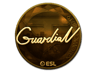GuardiaN (Gold) | Katowice 2019