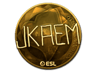 jkaem (Gold) | Katowice 2019