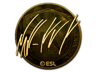 NAF (Gold) | Katowice 2019