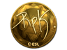 RpK (Gold) | Katowice 2019